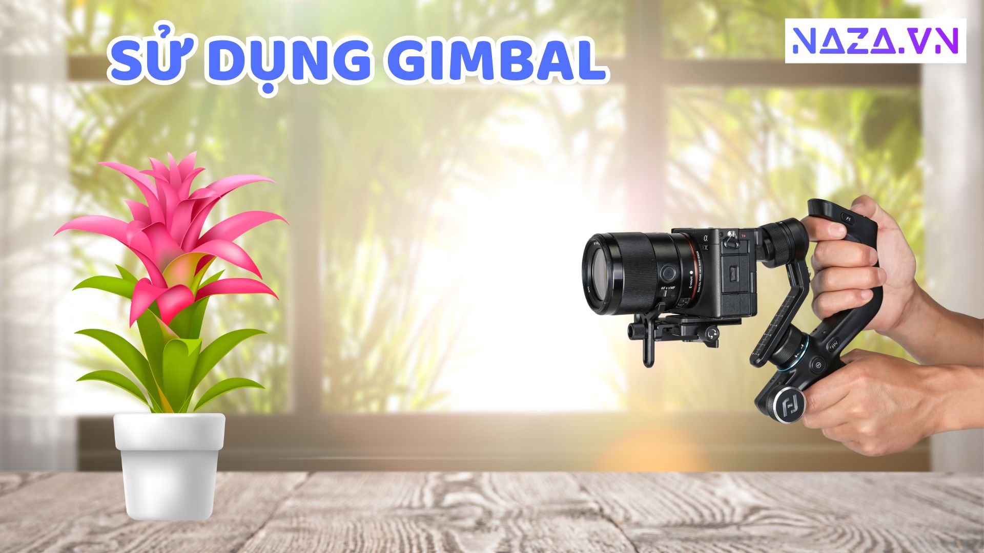 Gimbal Chống Rung 22 Cách Sử Dụng Gimbal Chống Rung