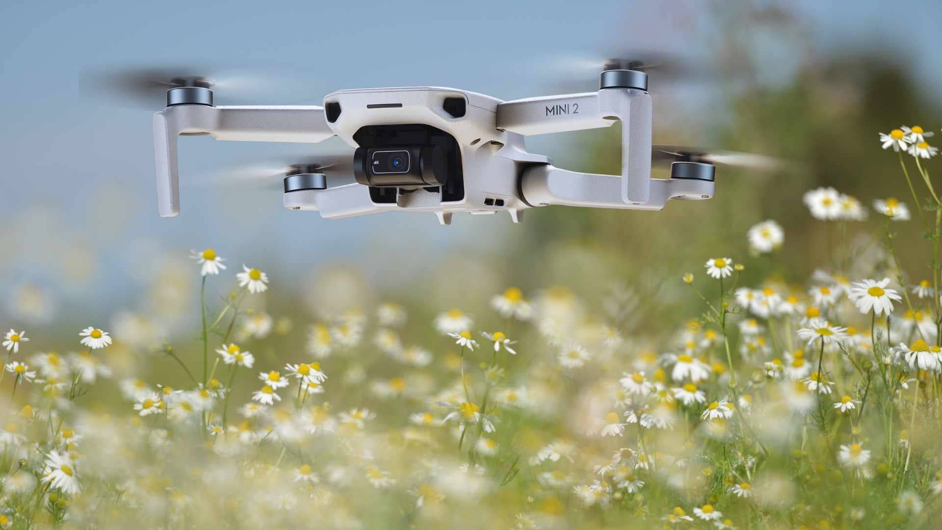 DJI Mini 2 VS DJI Mini 4K