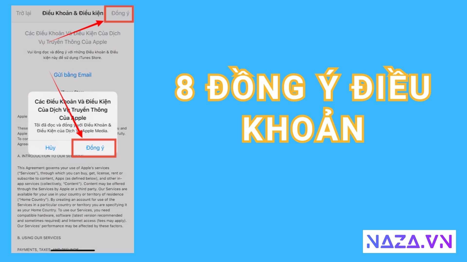 Hướng dẫn tải DJI Fly cho iPhone đồng ý điều khoản